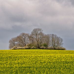 DSC00260
